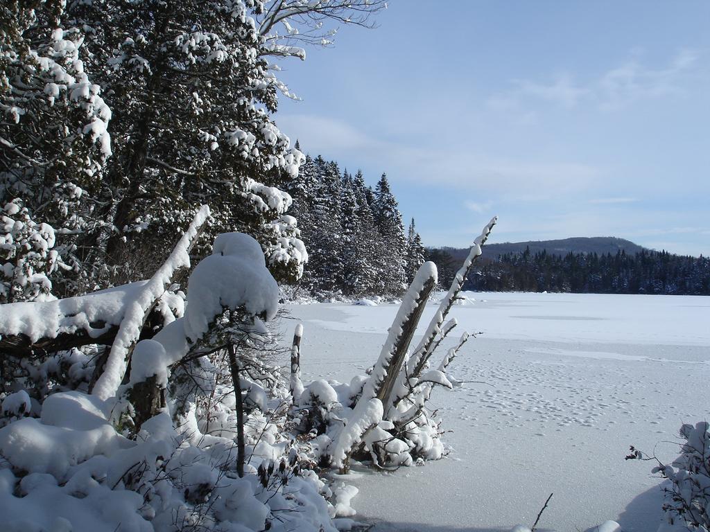 Manoir Du Lac Sept-Iles Saint-Raymond Exterior foto
